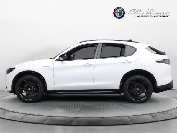 New 2024 Alfa Romeo Stelvio Veloce for sale $57,795 at Maserati of Greenwich in Greenwich CT 06830 6